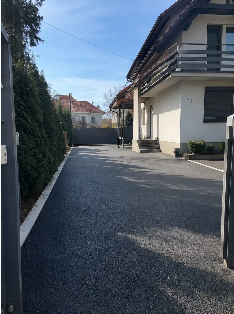 Isti prilaz posle asfaltiranja, sa ivičnjakom uz živu ogradu